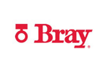 Bray International